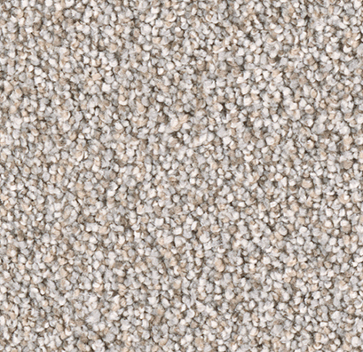 Image Alt Text